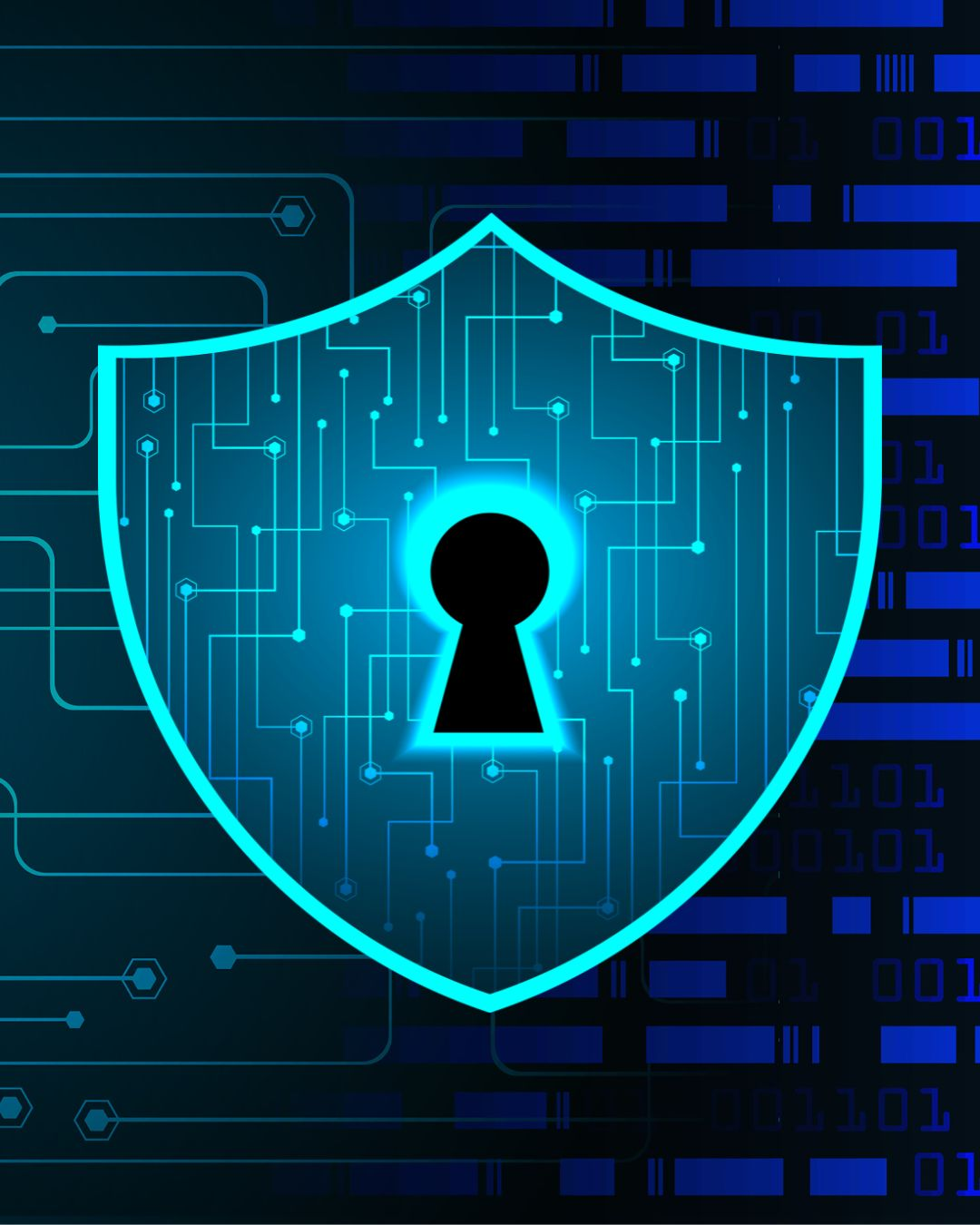 Experto en Ciberseguridad Online